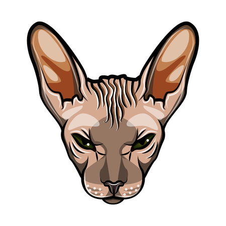 Domestic cat  face, Sphynx breed. Comic cartoon style  Vector illustration isolated on white backgroundのイラスト素材