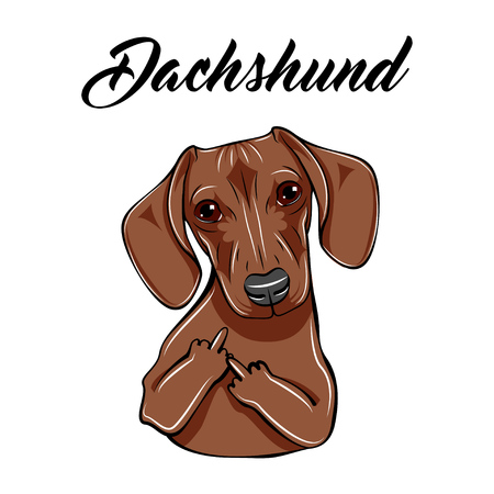 Dachshund middle finger gesture. Dog with gestures. Vector illustration. Dachshund lettering.のイラスト素材