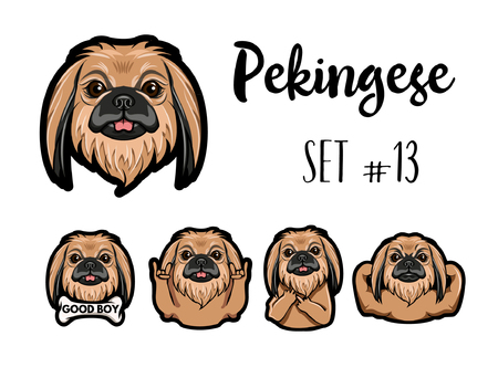 Pekingese dog. Gestures. Muscles, Bone, Middle finger, Horns, Muzzle, Head. Dog portrait. Vector illustration