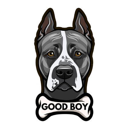 Staffordshire Terrier dog portrait. Bone. Good boy lettering. Vector illustration.のイラスト素材