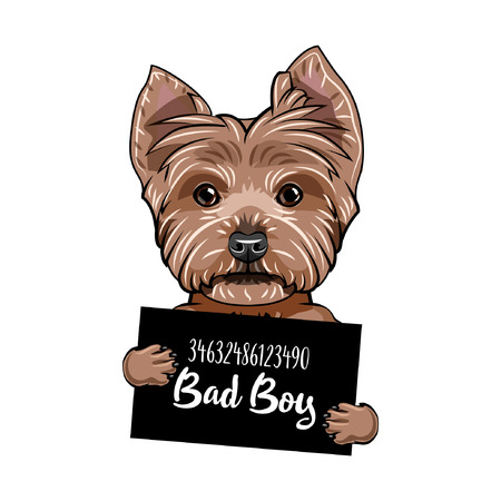 Yorkshire terrier Bad boy.のイラスト素材