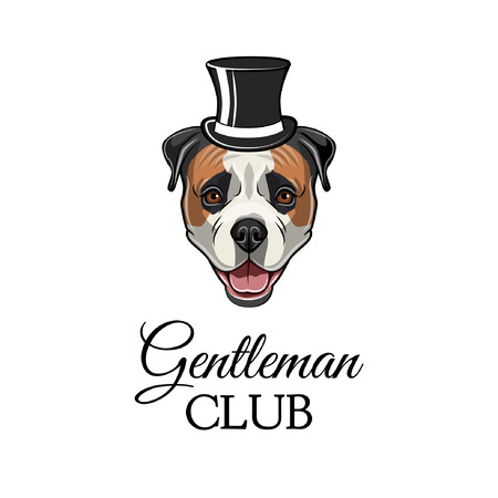American bulldog gentleman. Top hat icon. Gentleman club inscription. Dog portrait. Vector illustration.のイラスト素材