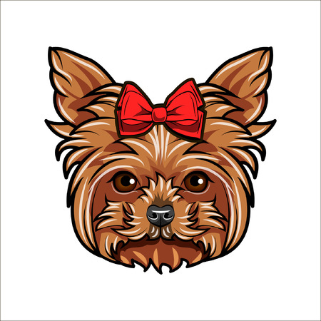 red bow for dog