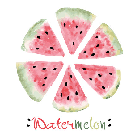 Watercolor slices of sweet watermelon with seeds Vector eps 10のイラスト素材