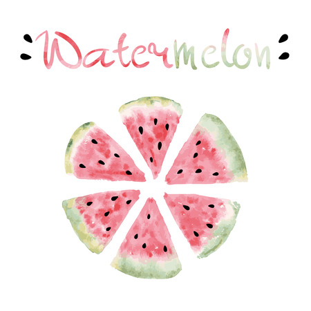 Watercolor slices of sweet watermelon with seeds Vector eps 10のイラスト素材