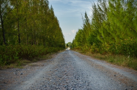 Landscape of road at kuala perlis malaysiaの写真素材