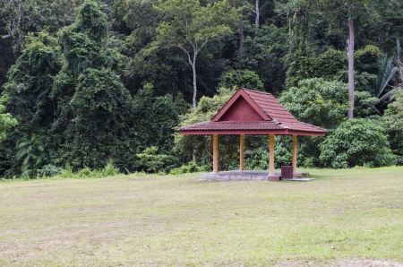 Small hut found in the jungleの写真素材