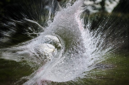 Water Splash in the airの写真素材