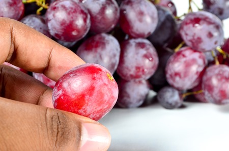 Red Grapes shoot over white background. Shallow depth of field, focus on front of the subject.の写真素材