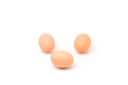 Chicken egg with white backgroundの写真素材