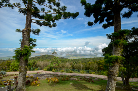 Beautiful view from top of Jerai Mountain  with cloud and blue skyの写真素材