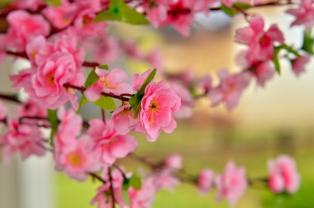 Close view of plastic pink sakura flower on wooden tree with soft backgroundの写真素材