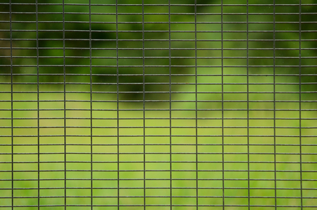Close view of steel cage with nature backgroundの写真素材