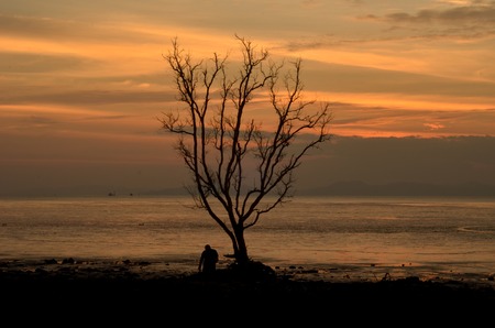 Silhouette tree and man at sea shore over sunsetの写真素材