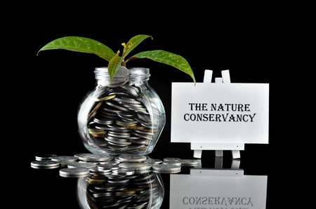 Concept - Plant in money container with white board written The Nature Conservancyの写真素材