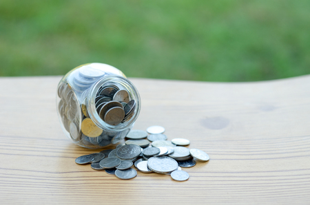 Concept - Plant in Money  container over nature backgroundの写真素材