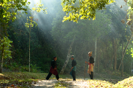 Drawing/Painting of Malaysian Famous Martial Art called Silat Performing Action of training in a jungleの写真素材