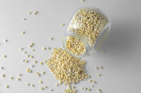 Barley seed over white backgroundの写真素材