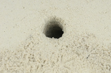 Crab Hole on beach sandの写真素材