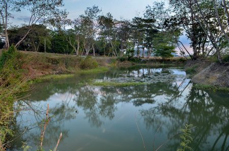 Boat park at lakeの写真素材
