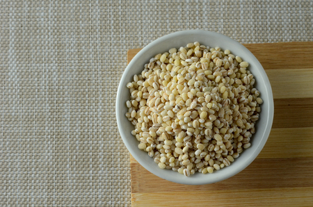 Barley Seedsの写真素材