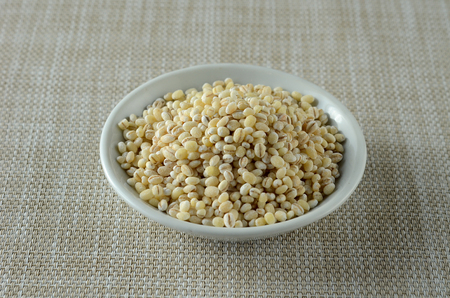 Barley Seedsの写真素材