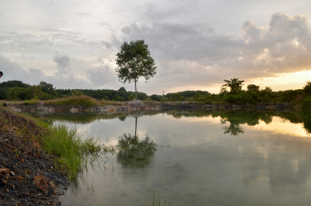 Sunset of lake with tree and reflection at sunsetの写真素材