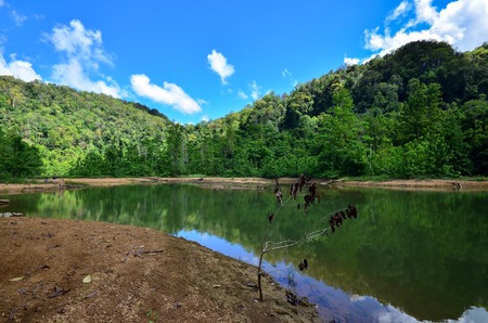 Meranti lake of Malaysiaの写真素材