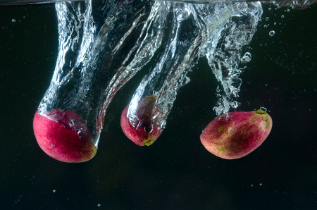 God's Crown fruit in splashの写真素材