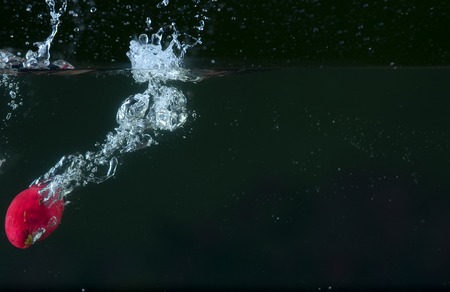 God's Crown fruit in splashの写真素材