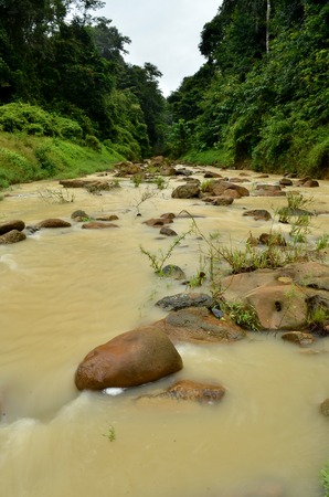 Jungle waterfall streamの写真素材