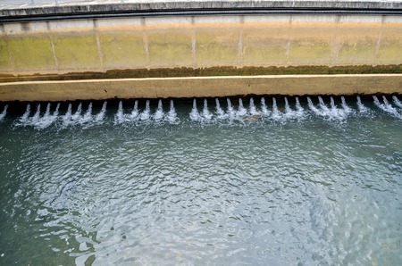 Drinking water treatment plant : Sedimentation Tank