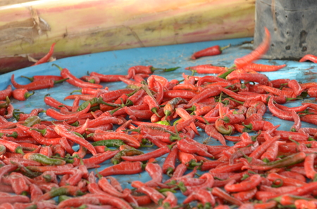 Bunch of red chilli on floorの写真素材