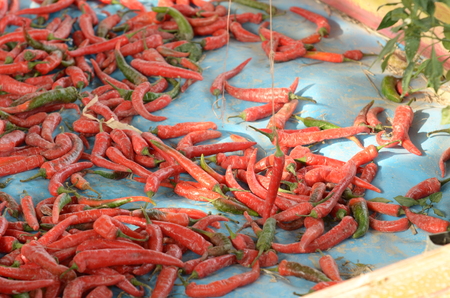 Bunch of red chilli on floorの写真素材