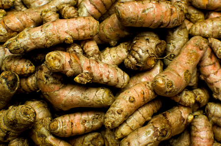 Group of Turmeric rootsの写真素材