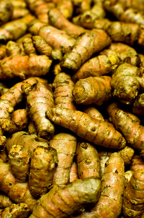 Group of Turmeric rootsの写真素材