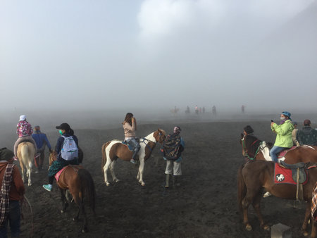 beautiful scenes in Bromo, Semeru National Parkのeditorial素材