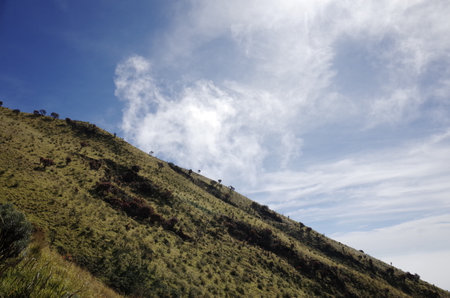 Beautiful Merbabu Mountain in Indonesiaの写真素材