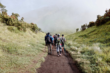 Hiking in Beautiful Merbabu Mountain Indonesiaの写真素材