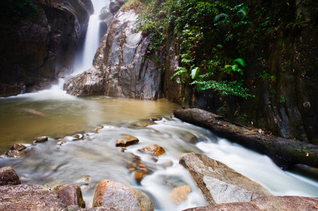 Waterfall in deep forest at Phu Soi Dao National Park, Thailandの写真素材