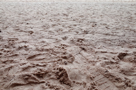 Beach sand texture background. Closeup of beach sand texture.
