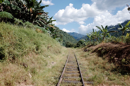 Railway in the jungle of Borneo, Sabah, Malaysiaの写真素材