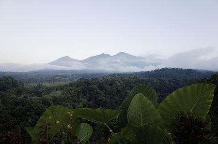 Mountains in the rainforest of Borneo, Sabah