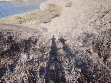 Landscape of the coast of the sea. The shadow of a man on the sand.の写真素材