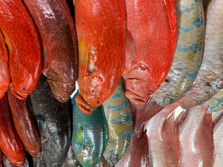 Variety of fresh fish on display at a fish market in Venice, Italy