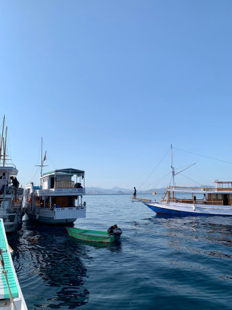 Yachts and boats in the port of Bodrum, Turkey