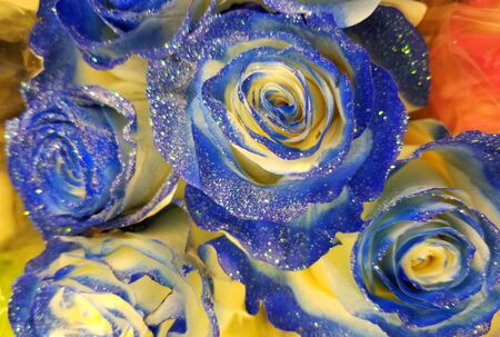 Blue roses decorated with glitterの写真素材