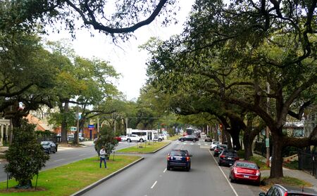 New Orleans, Louisiana, U.S.A - February 4, 2020 - The street with beautiful oak trees near The Garden Districtのeditorial素材