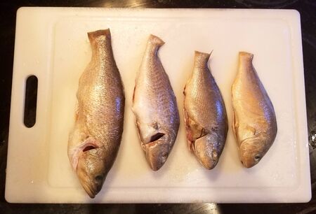 A row of cleaned raw fish on the white cutting board