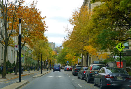 Montreal, Canada - October 27, 2019 - The view of the traffic surrounded by striking colors of fall foliage in the cityのeditorial素材